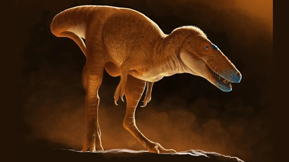 Khankhuuluu mongoliensis художественное изображение Khankhuuluu mongoliensis художественное изображение