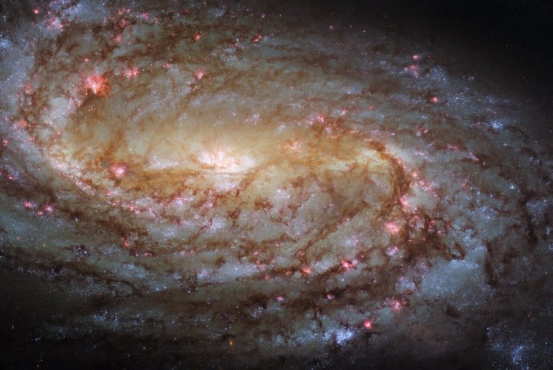Фото: ESA/Hubble & NASA, L. Ho, J. Lee and the PHANGS-HST Team