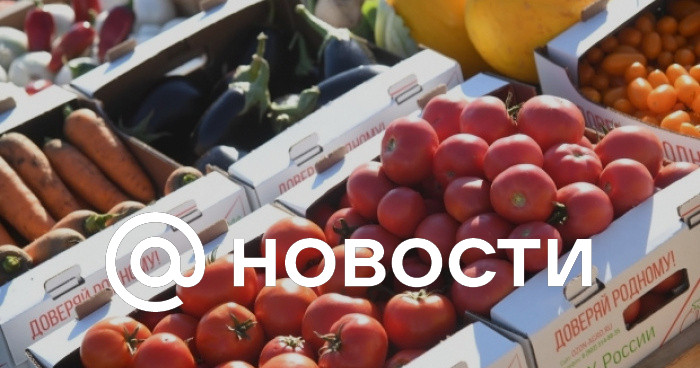 Новости овощной продукции