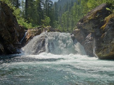 slide image for gallery: 27648 | Байкальский заповедник