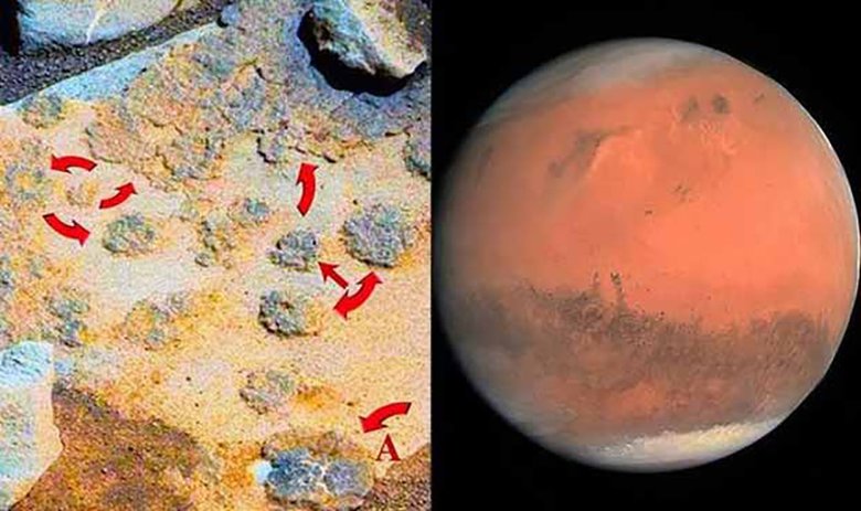 Ученые считают, что на Красной планете есть водоросли и строматолиты. Фото: NASA / Express.co.uk