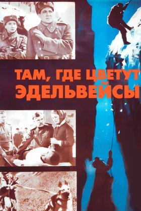 Там, где цветут эдельвейсы: постер