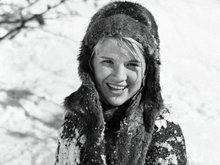«Дикая собака Динго» «Дикая собака Динго»