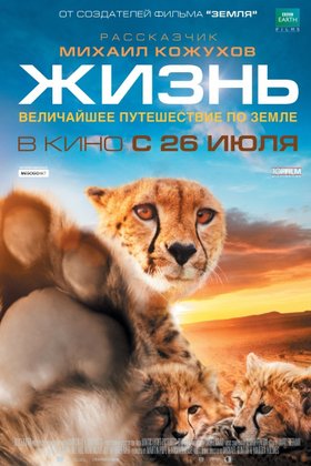 Жизнь: постер