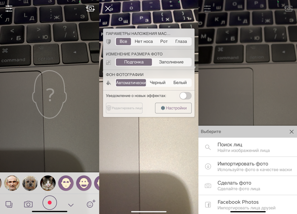 Интерфейс приложения FaceSwapLite Интерфейс приложения FaceSwapLite