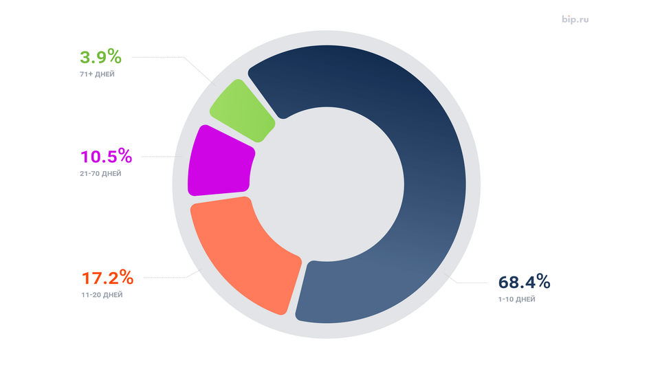 В какой срок пользователи bip.ru оплачивали штрафы в 2024 году