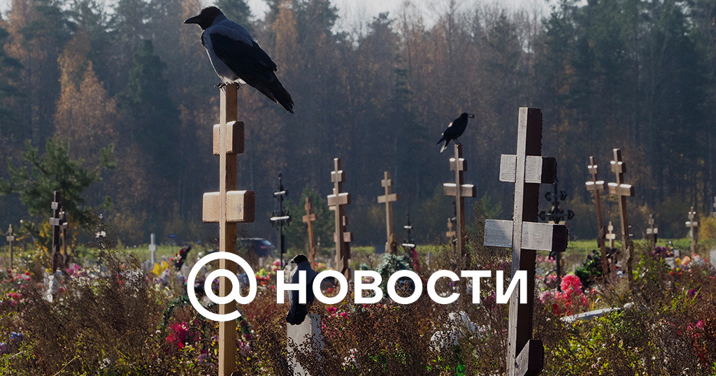 в ростовской области молодая девушка повесилась