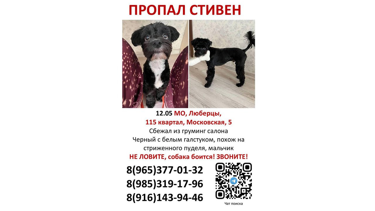 Стивен Стивен