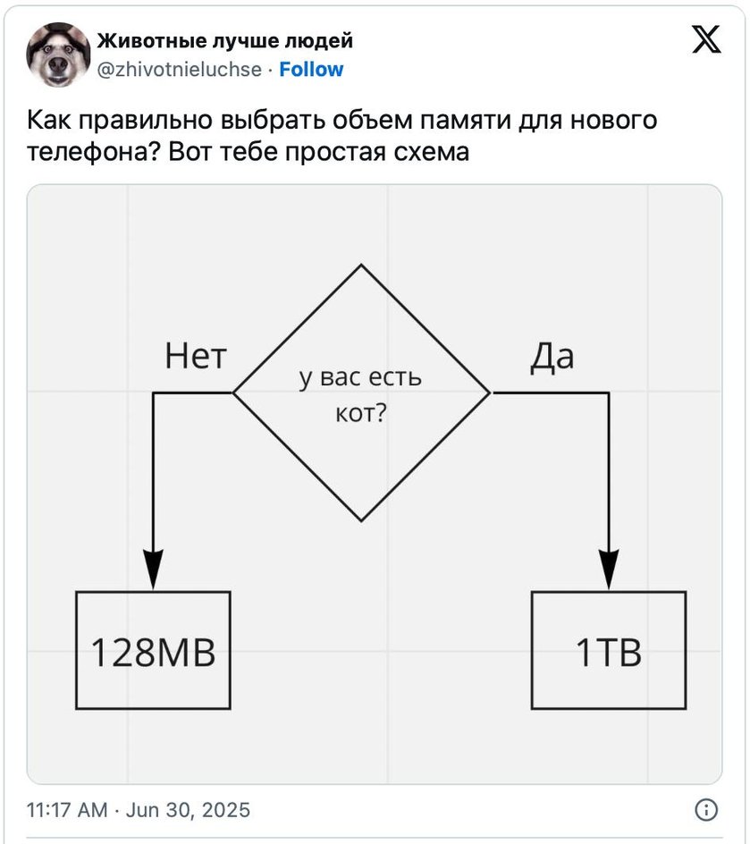 Сохраняйте обзор: который подойдет каждому Сохраняйте обзор: который подойдет каждому