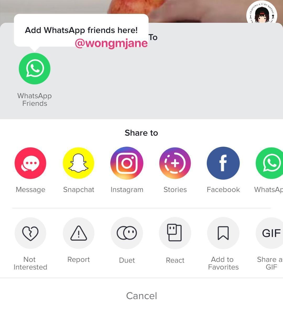 WhatsApp «подружится» с TikTok - Hi-Tech Mail.ru