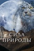 Постер шоу «Сила природы»