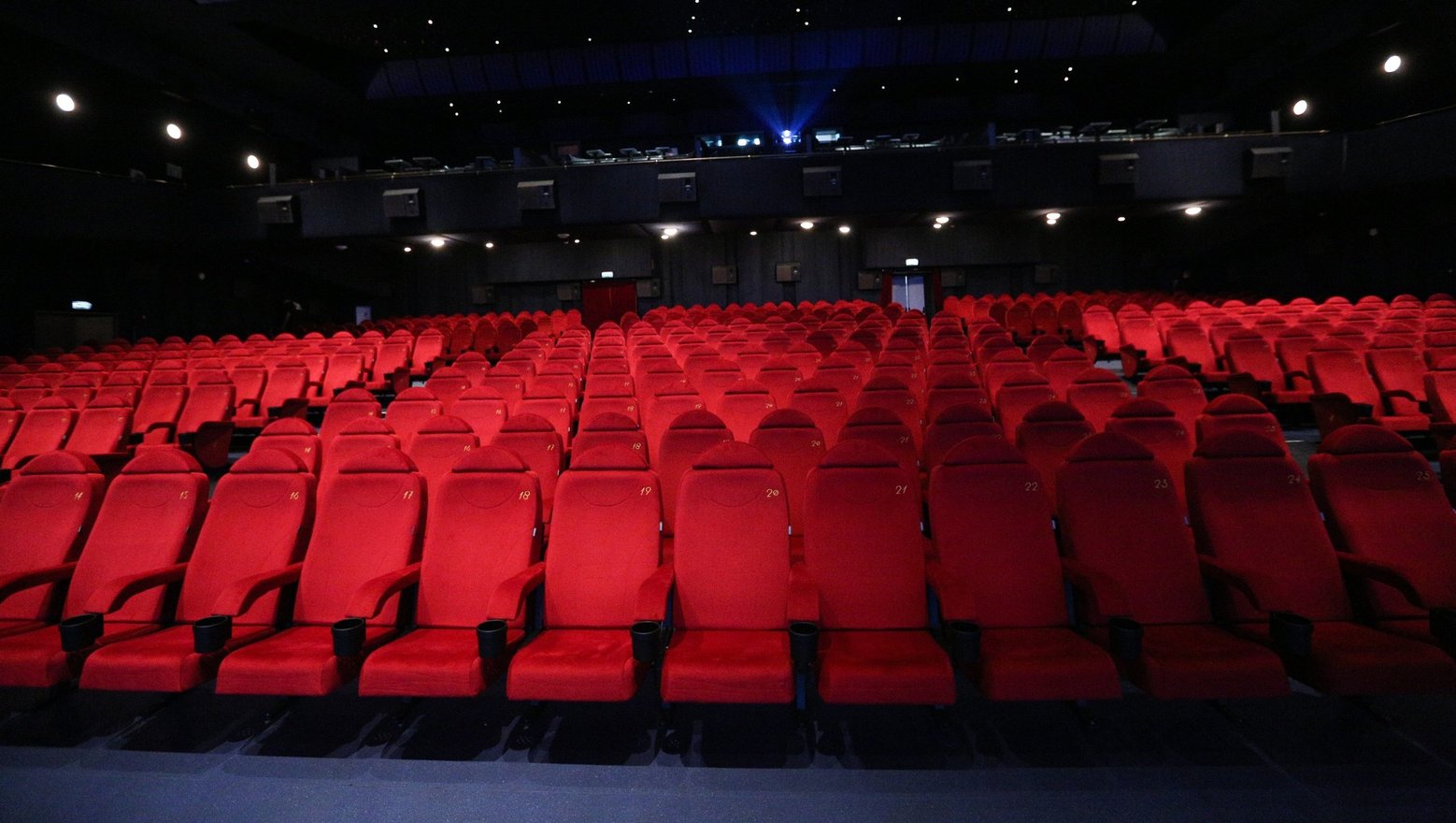 Закрыты залы. Закрытие кинотеатров. International Cinema Day Flowers.