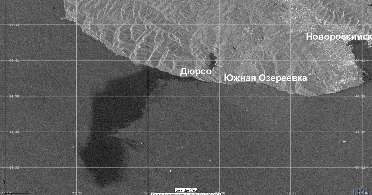 Занизили в 400 000 раз: реальный масштаб бедствия в Черном море (фото)