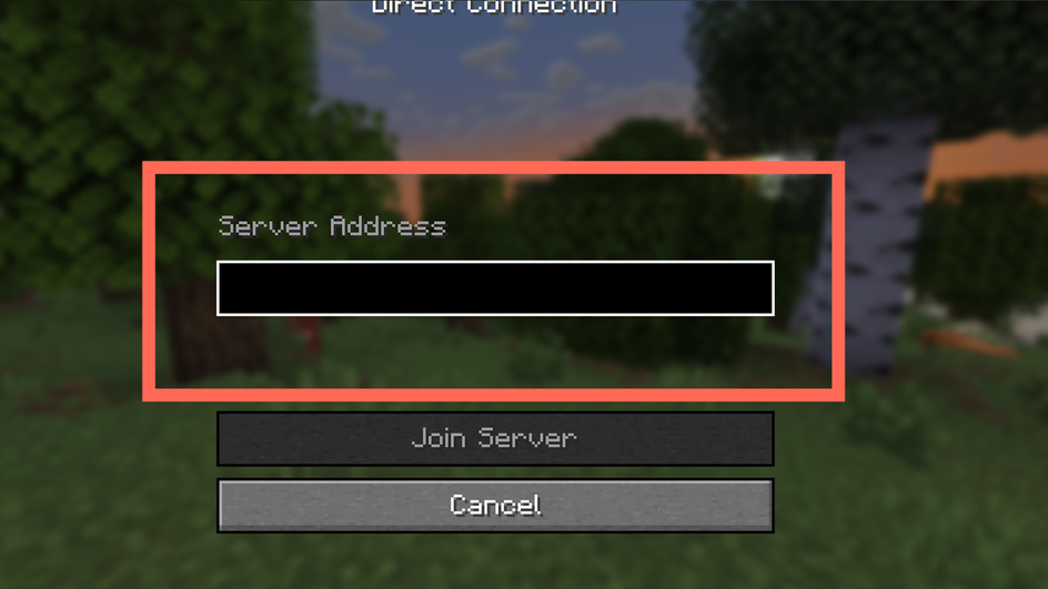 Поле Server Address в Minecraft Поле Server Address в Minecraft