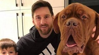 Месси опубликовал фото со своей собакой. Она гигантская