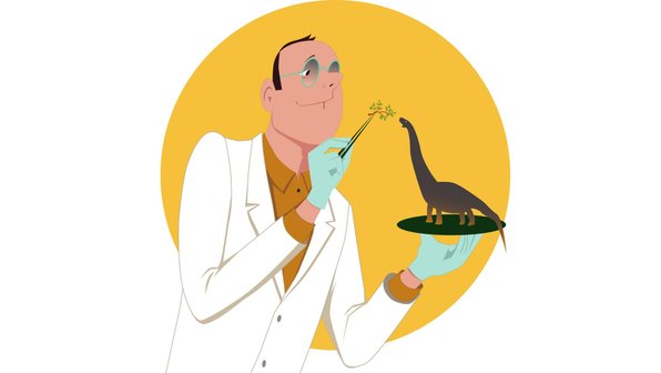 Мутации, давшие миру новые породы кошек. Часть 1: сфинксы, эльфы и оборотни
