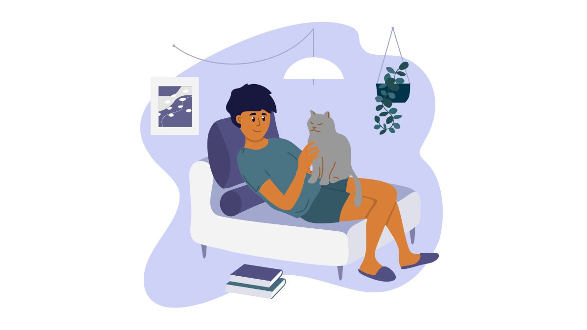 Кошка и человек