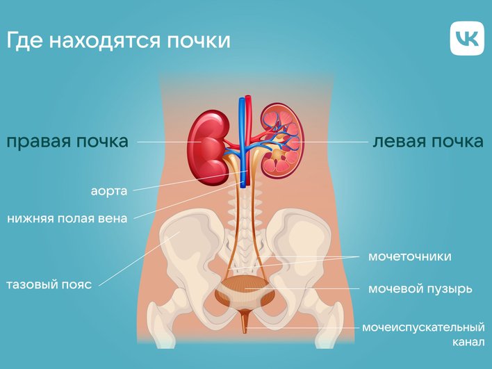 Иконографика