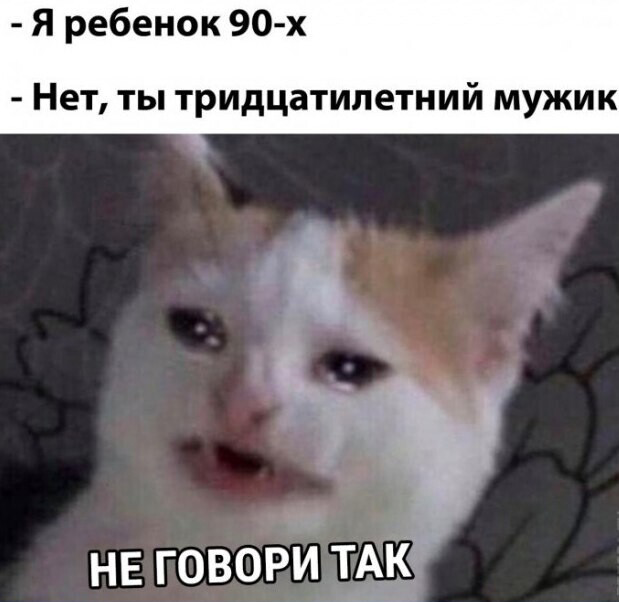 Мемы с котиками