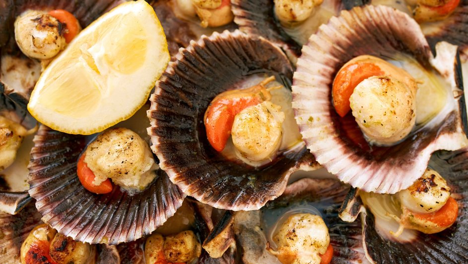 морские гребешки морские гребешки
