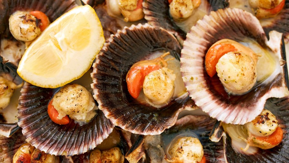 Морские гребешки Морские гребешки
