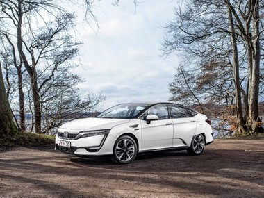 slide image for gallery: 25686 | Mirai