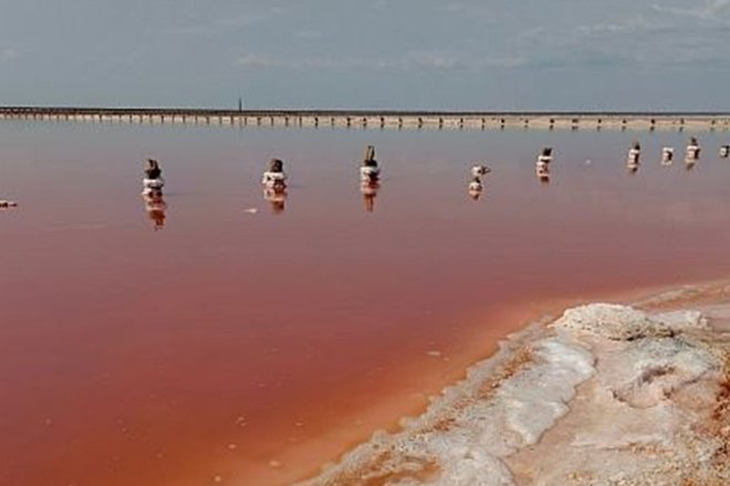 Ученые СПбГУ исследовали соляные озера Крыма