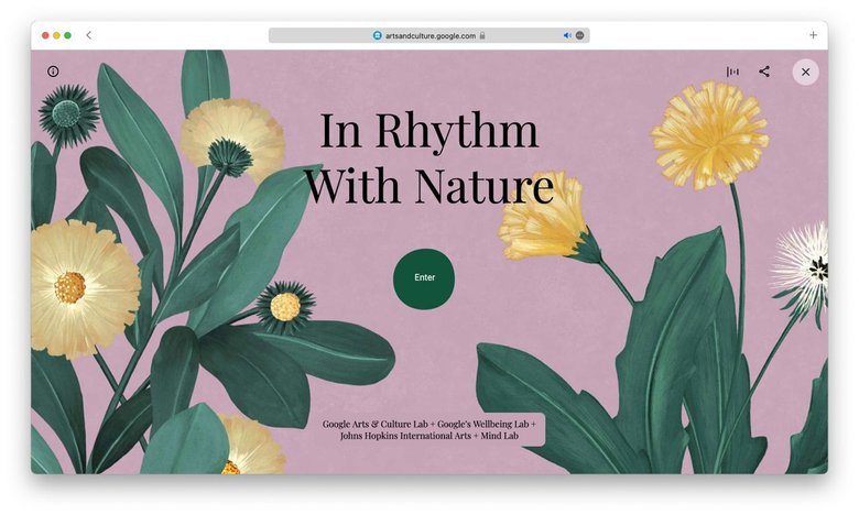 Так выглядит стартовая страница сервиса «В ритме с природой».