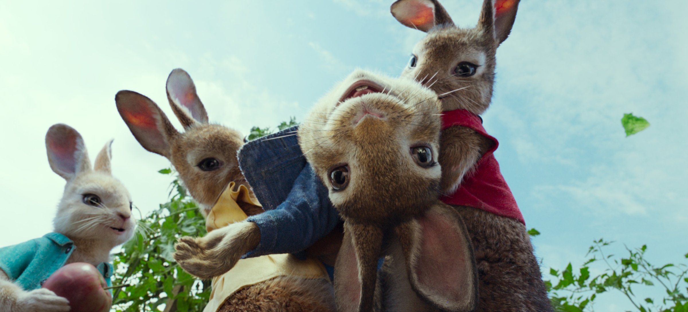 Кролик Питер (Peter Rabbit, 2018) смотреть онлайн в хорошем HD качестве,  отзывы, кадры из фильма, актеры - Кино Mail.ru
