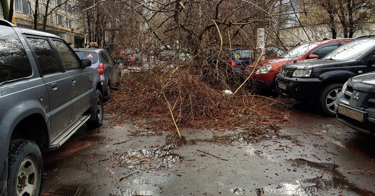 В москве был ураган