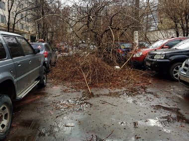 slide image for gallery: 24530 | Последствия ураганов в Москве