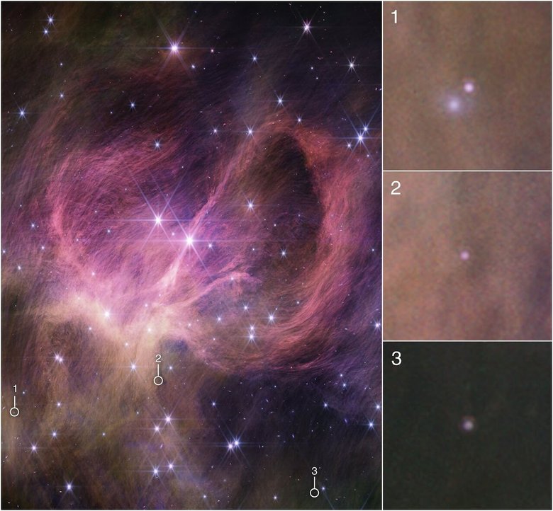 Три коричневых карлика, замеченные JWST, и их расположение в IC 348. 