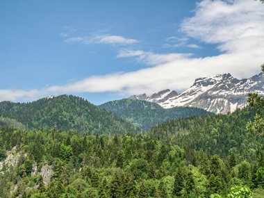 slide image for gallery: 27008 | Путешествие по Абхазии 01