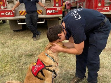Эта собака каждый день помогает пожарным, чтобы им легче было перенести смену в 24 часа.