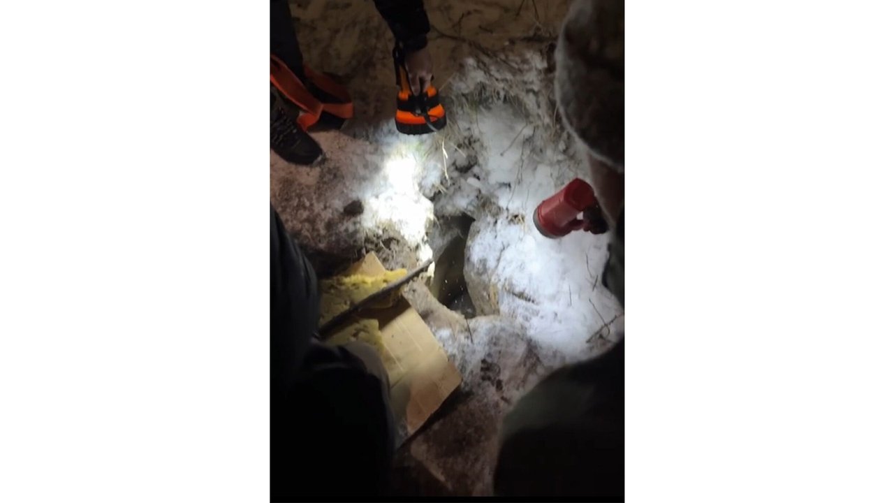 В Воронеже щенок провалился в яму — его спасали целые сутки