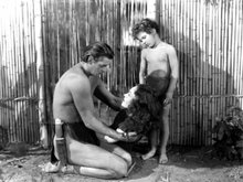 Кадр из Тарзан находит сына