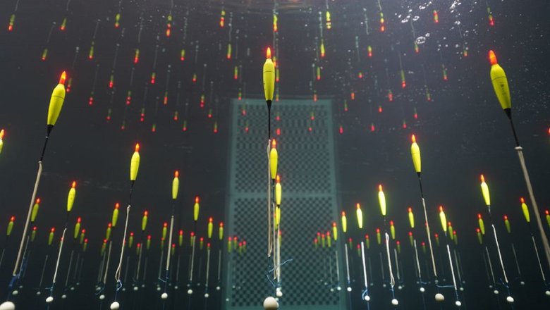 Новый китайский детектор нейтрино TRIDENT в бассейне.