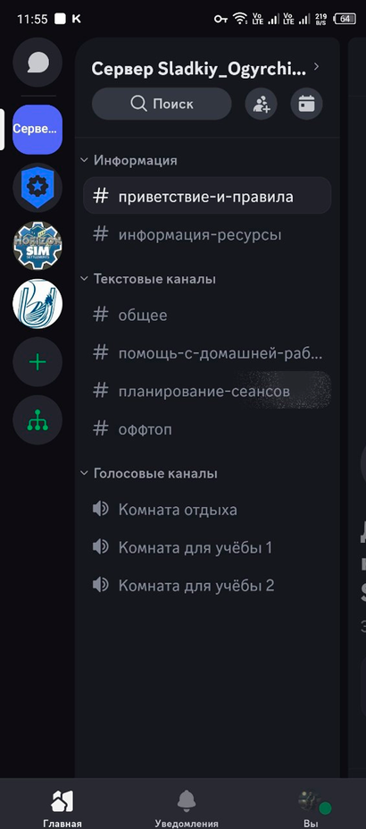 Скриншот экрана смартфона с окном настроек в  мобильной версии Discord