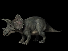 Кадр из Discovery: Сражения динозавров