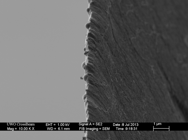 Лезвие бритвы, 10000-кратное увеличение. Фото: Flickr / Zeiss Microscopy ( CC-BY-NC-ND 2.0)
