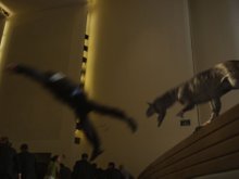 Кадр из Эра динозавров