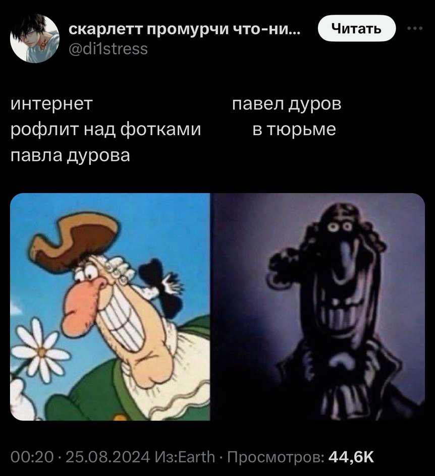 Мемы про Дурова