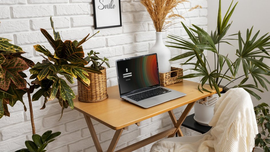 Ноутбук стоит на столе вокруг растений на фоне белой стены
