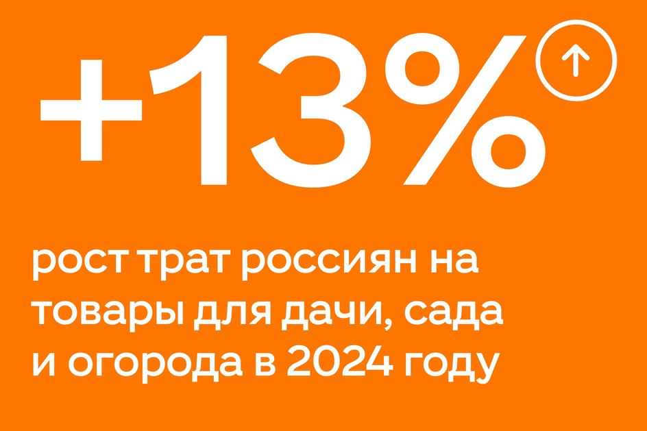 Инфографика