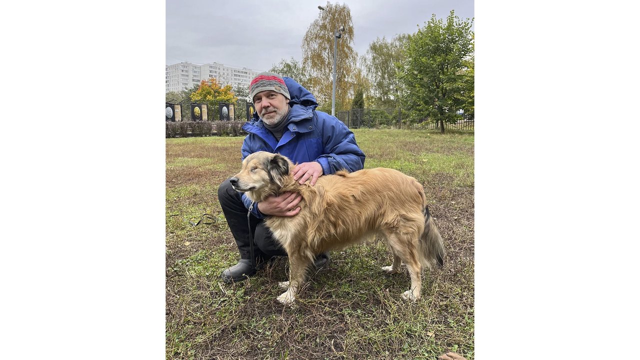 Окно в другой мир. Как взять в семью слепую собаку?