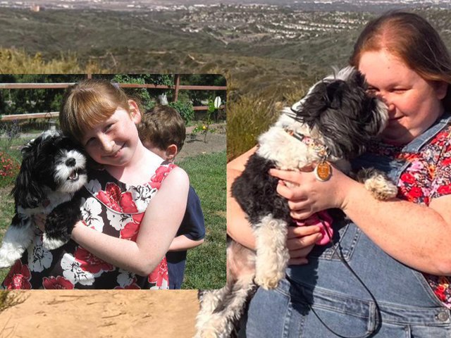 До и после: хозяйка повторила фото с собакой спустя 10 лет