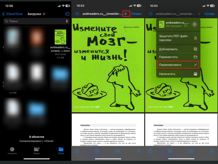 Открытая папка «Загрузки» на iPhone с параметром «Переименовать» Открытая папка «Загрузки» на iPhone с параметром «Переименовать»