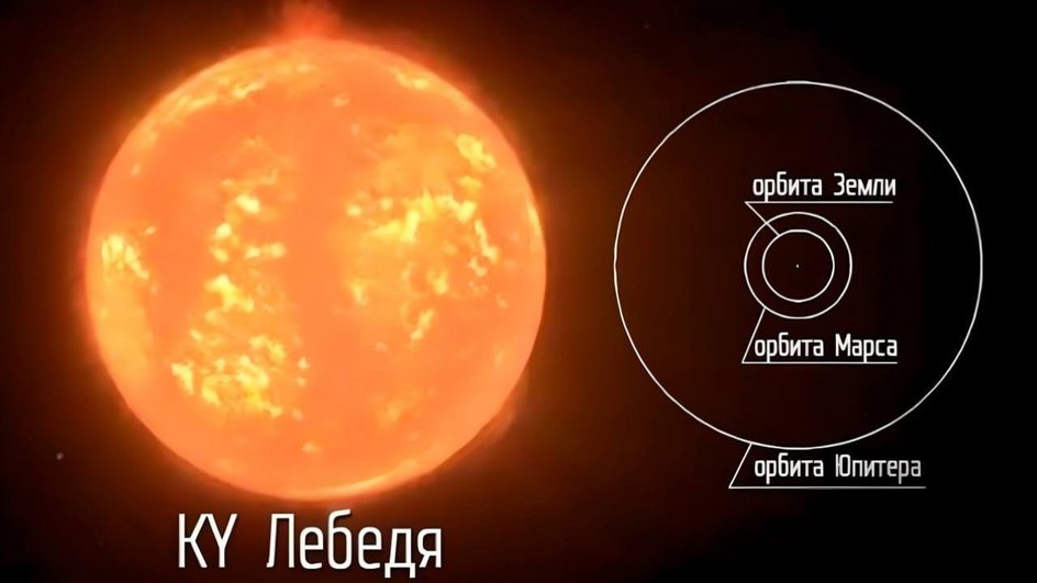 Сравнение KY Лебедя с орбитами Марса, Земли и Юпитера