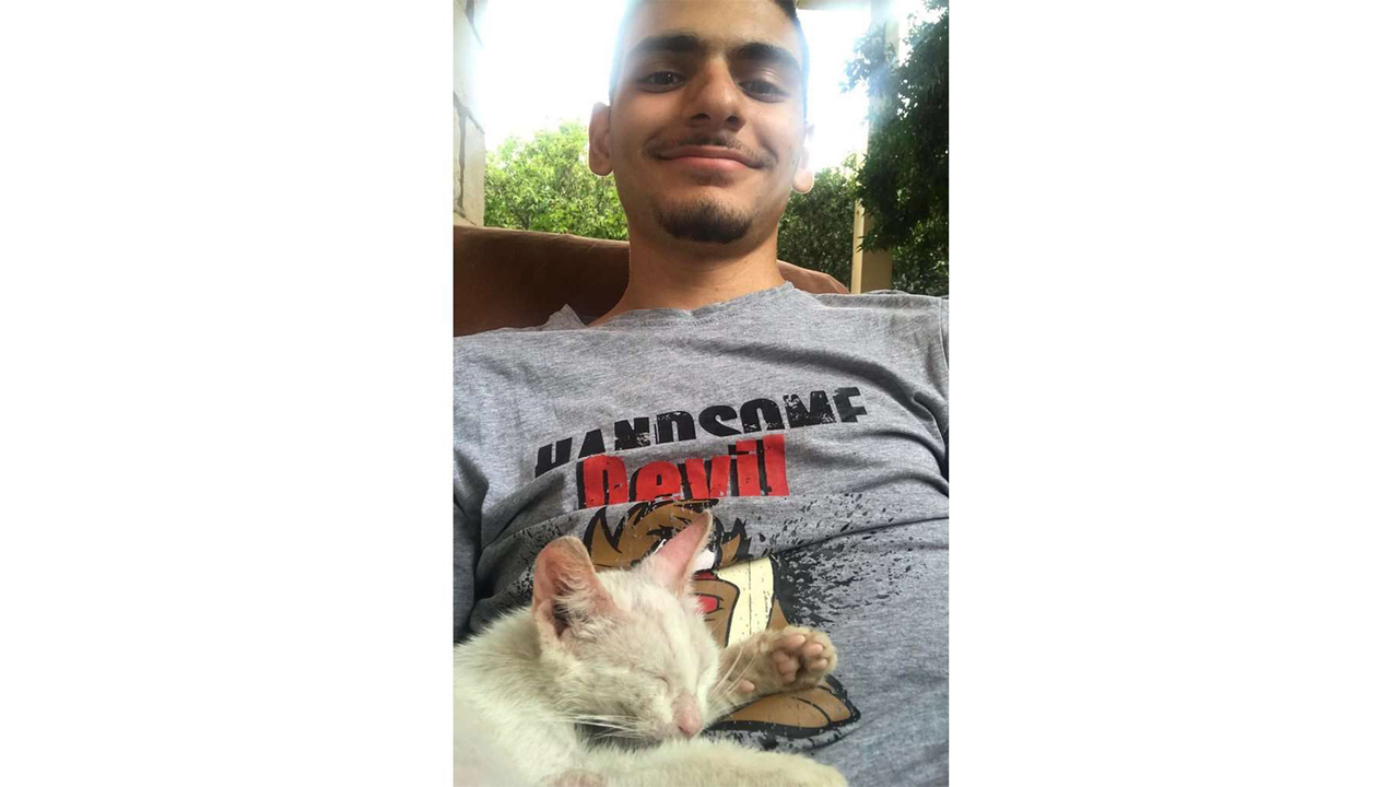Котенок уснул на мужчине Котенок уснул на мужчине