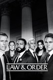 Постер Закон и порядок: 21 сезон